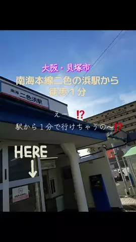 高齢乙女のTikTok投稿
