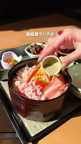 やまたび🦎【今週のデートはここで決まり】のTikTok投稿