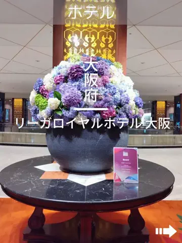 デンじょーの旅のTikTok投稿
