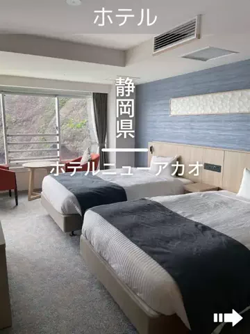 デンじょーの旅のTikTok投稿