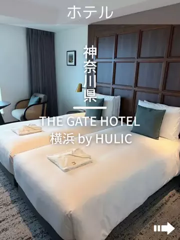 デンじょーの旅のTikTok投稿