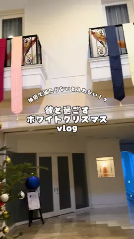 mofu_disney_weddingのTikTok投稿
