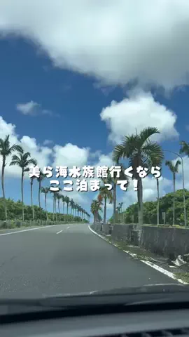 mofu_disney_weddingのTikTok投稿