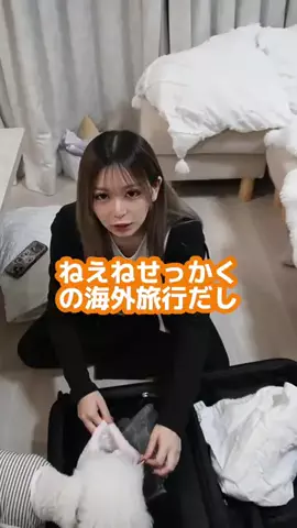 姉です。🍈🍞のTikTok投稿