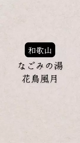 shuuublog/ホテル紹介のTikTok投稿