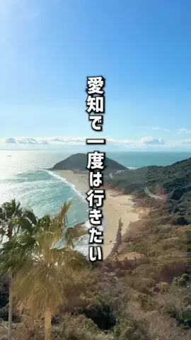 もじゃたび⌇静岡発✈︎旅行・観光・ホテルのTikTok投稿