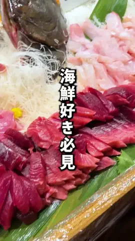 もじゃたび⌇静岡発✈︎旅行・観光・ホテルのTikTok投稿