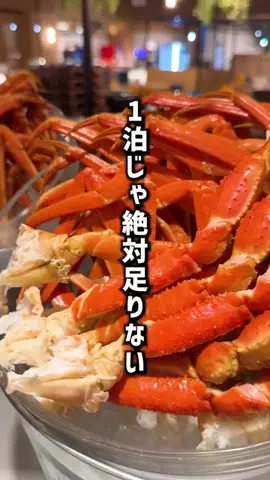 もじゃたび⌇静岡発✈︎旅行・観光・ホテルのTikTok投稿