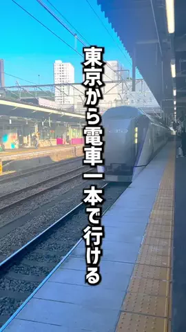もじゃたび⌇静岡発✈︎旅行・観光・ホテルのTikTok投稿