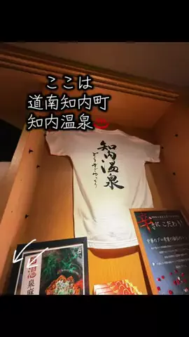 みーなりーなのTikTok投稿