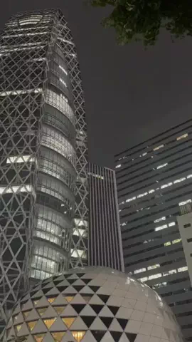 Haneka UtaのTikTok投稿