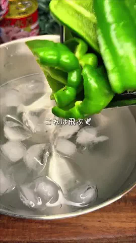 こあや｜夫が黙るビールおつまみレシピのTikTok投稿