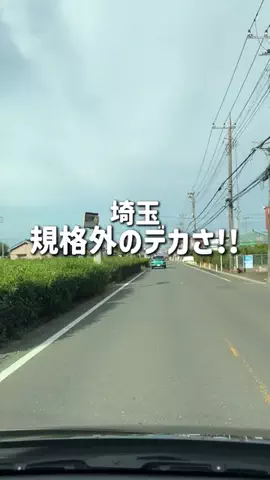 saitama_guide_mihoのTikTok投稿