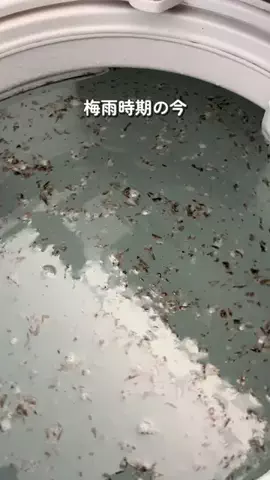 yuyu|楽してお家キレイにしよのTikTok投稿