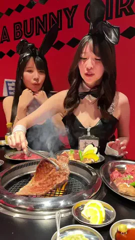 HAMONI JAPANのTikTok投稿