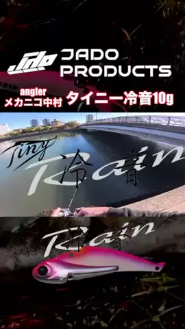 しゅーごー🎣所長のTikTok投稿