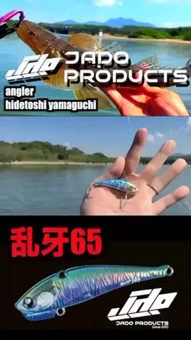 しゅーごー🎣所長のTikTok投稿