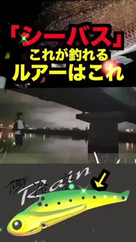 しゅーごー🎣所長のTikTok投稿