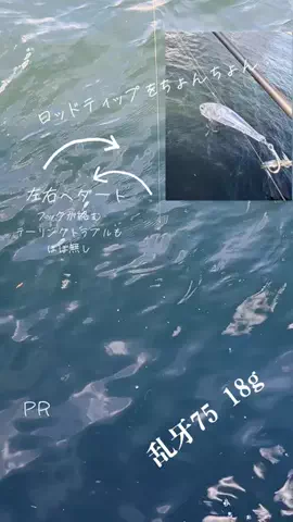 しゅーごー🎣所長のTikTok投稿