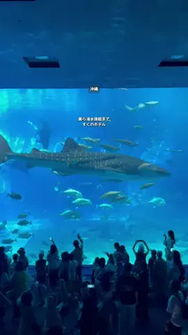 沖縄アウトドアマップ｜おふたりトラベルのTikTok投稿