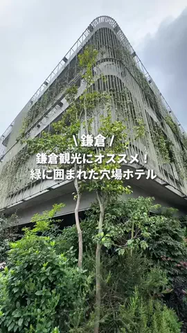 ぱおのTikTok投稿