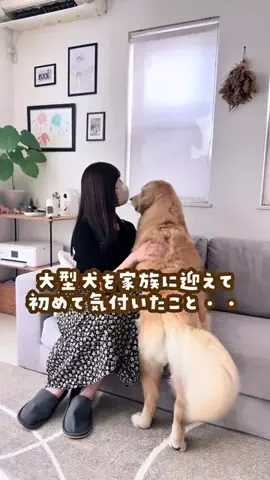 大型犬と平凡な暮らしのTikTok投稿