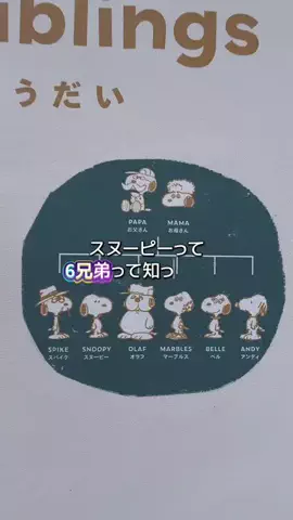 美術館で現実逃避するOLのTikTok投稿