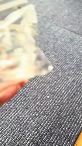ハルとアキ🐱のTikTok投稿
