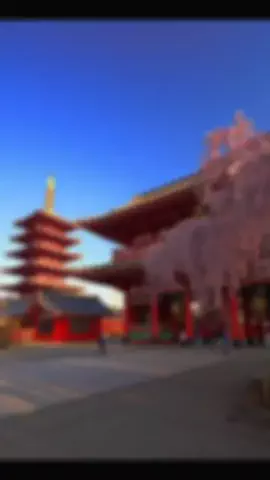 一颯<issa>のTikTok投稿