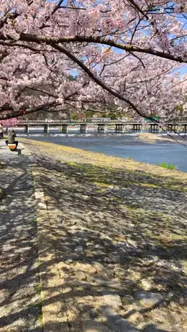 一颯<issa>のTikTok投稿