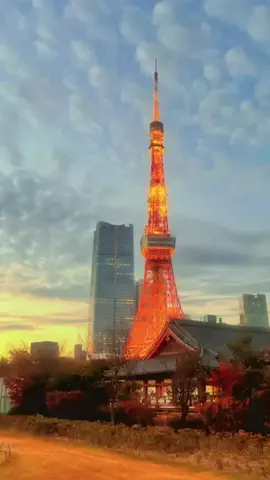一颯<issa>のTikTok投稿