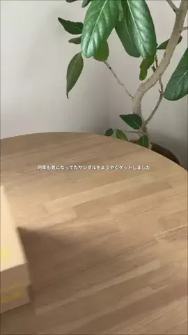 idakaのTikTok投稿