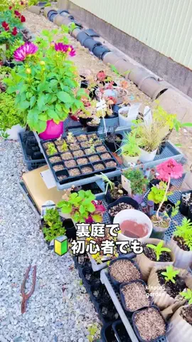 きの子　（小さな庭・DIY）のTikTok投稿