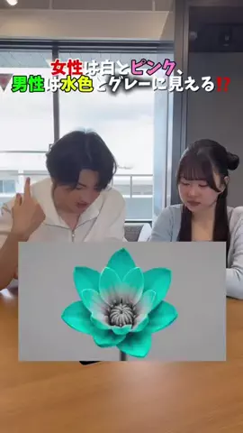 チーム友達‼️のTikTok投稿