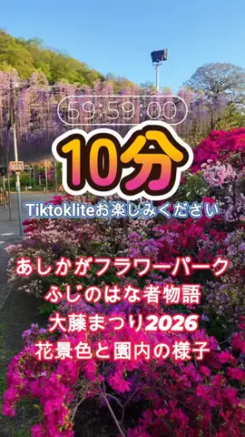 おでかけポコのTikTok投稿