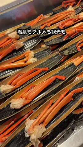 たつ｜ホテル好き旅のTikTok投稿