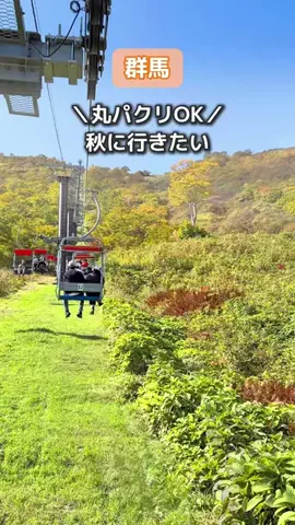 みなかみ町観光協会のTikTok投稿