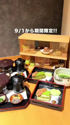 ぎゃらぴかのTikTok投稿