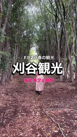 easai3のTikTok投稿