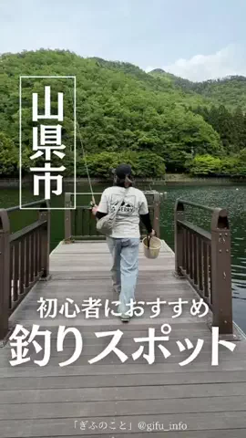 ぎふのことのTikTok投稿
