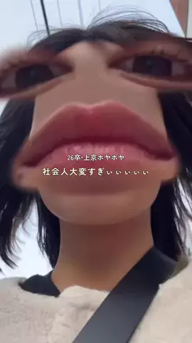 すっぽん！🐢📦のTikTok投稿