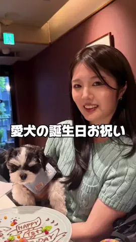 柴（しば）のTikTok投稿