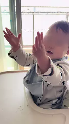 ちょこ￤ いまを大切にする暮らしのTikTok投稿