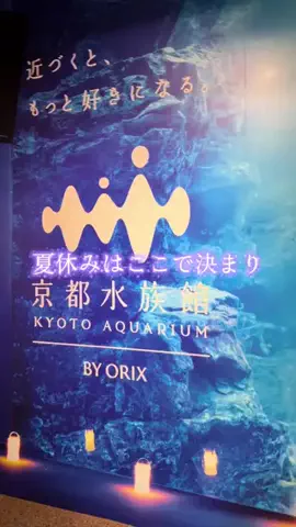 ４姉妹のTikTok投稿