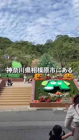神奈川県民のツバサのTikTok投稿
