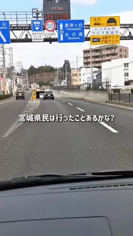 宮城グルメ／MIYAGI SELECTのTikTok投稿