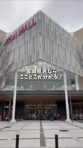 宮城グルメ／MIYAGI SELECTのTikTok投稿