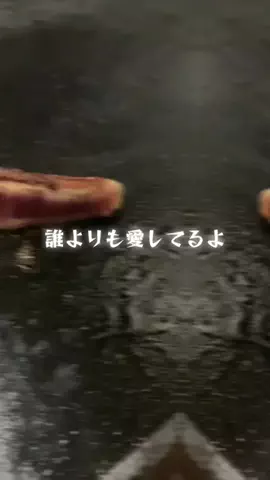 もつ焼きのりちゃんのTikTok投稿