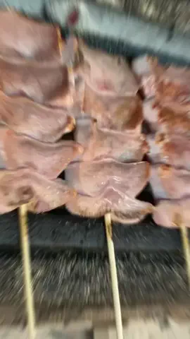 もつ焼きのりちゃんのTikTok投稿