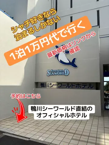 うまけしきのTikTok投稿
